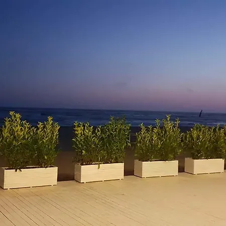 فندق Sunset455
